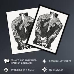 "Artery8 Anatomical study of mans back muscles Stolk Wall Art Poster Print in White - Size: W18"" x H24""" - thumbnail 2