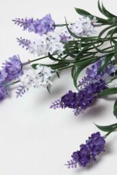 Homescapes Artificial Lavander Spray Single Stem Set of 3, 68cm - thumbnail 4