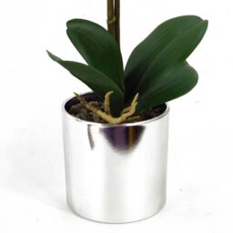 Leaf 46cm Artificial Orchid White with Silver Pot - thumbnail 3