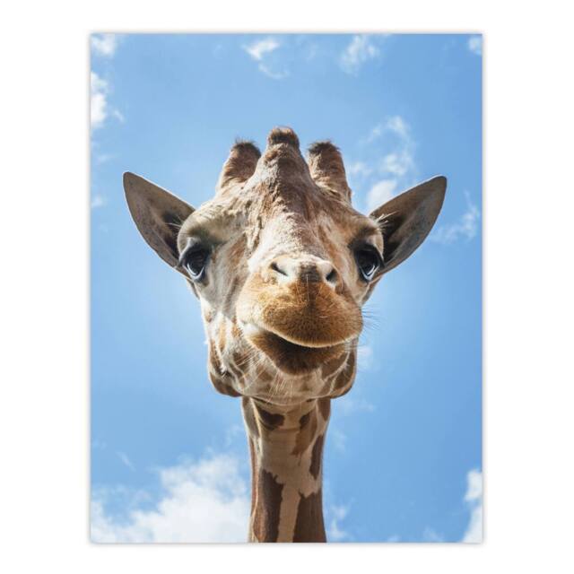 "Artery8 Up close look at a giraffe Carol M Highsmith Wall Art Poster Print in Blue - Size: W12"" x H16""" - image 1