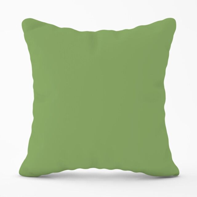 Warren Reed - Designer Thyme Green Outdoor Cushion - Size: 60 cm x 60 cm - image 1