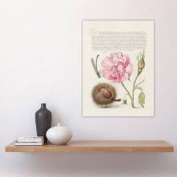 "Artery8 Damselfly Rose Chestnut Spider Calligraphy Wall Art Poster Print in White - Size: W24"" x H32""" - thumbnail 4
