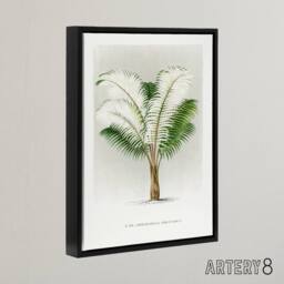 "Artery8 Ceroxylon Anticola Palm Tree Kerchove Framed Canvas Wall Art Print in White - Size: W12"" x H16""" - thumbnail 2