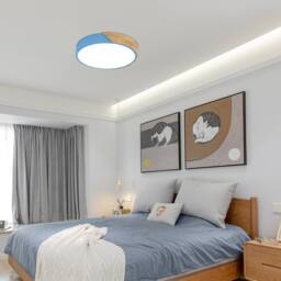 Goeco LED Ceiling Light Round, 24W, 6500K, 30cm, Round, Modern, Blue - thumbnail 4