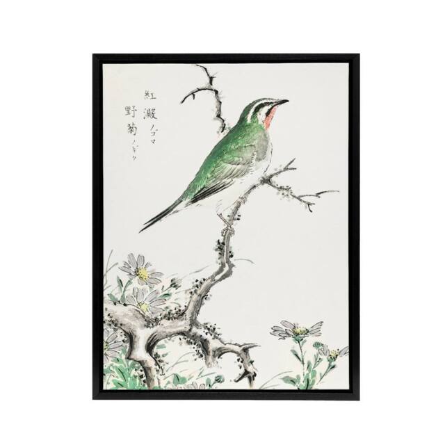 "Artery8 Ruby Throat Bird & Wild Camomile Framed Canvas Wall Art Print Kashu - Size: W12"" x H16""" - image 1