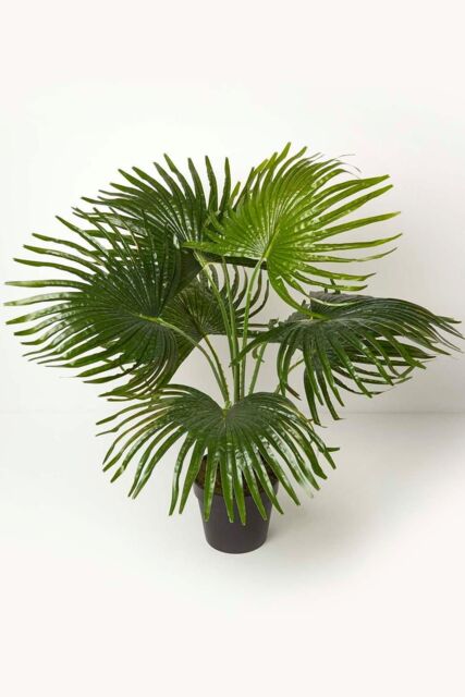 Homescapes Artificial Fan Palm Tree in Pot, 80 cm Tall in Green - image 1