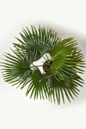 Homescapes Artificial Fan Palm Tree in Pot, 80 cm Tall in Green - thumbnail 2