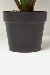 Homescapes Artificial Fan Palm Tree in Pot, 80 cm Tall in Green - thumbnail 3