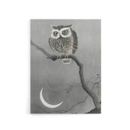 "Artery8 Long Eared Owl On Tree Branch Canvas Wall Art Print Ohara Koson in Grey - Size: W18"" x H24""" - thumbnail 1