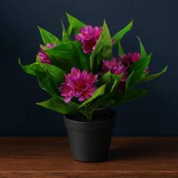 Leaf 18cm Artificial Freesia Plant Dark Pink Flowering Premium