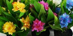 Leaf 18cm Artificial Freesia Plant Dark Pink Flowering Premium - thumbnail 5