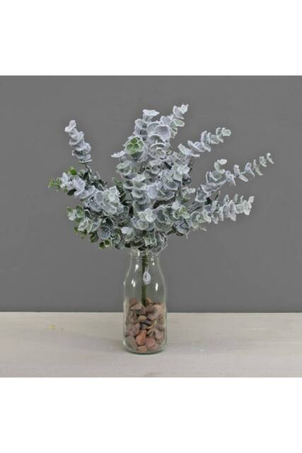 KDMD Eucalyptus Bush with Snow Green - image 1