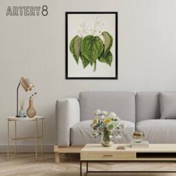 "Artery8 New Zealand Whau Cork Tree Flowers Featon Framed Canvas Wall Art Print in Beige - Size: W18"" x H24""" - thumbnail 3