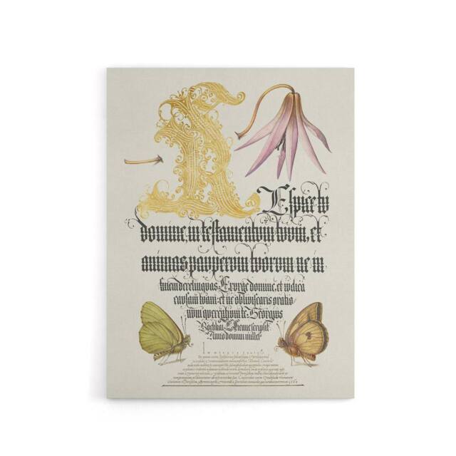 "Artery8 Dog Tooth Violet & Butterflies Calligraphy Canvas Wall Art Print in White - Size: W18"" x H24""" - image 1