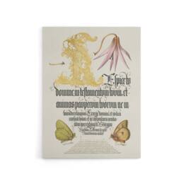 "Artery8 Dog Tooth Violet & Butterflies Calligraphy Canvas Wall Art Print in White - Size: W18"" x H24""" - thumbnail 1