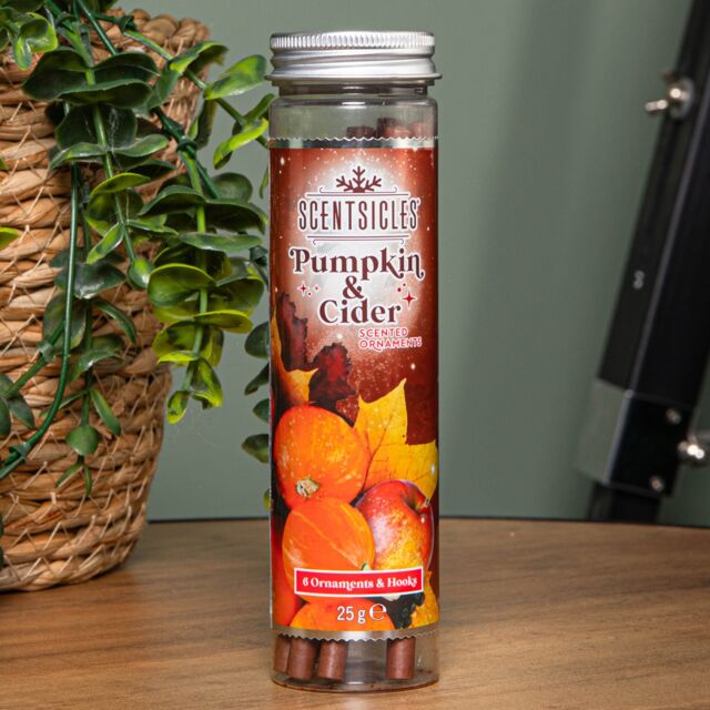 Samuel Alexander 25g Pumpkin & Cider Scented Christmas Scentsicles with 6 Hanging Hooks in Orange - image 1