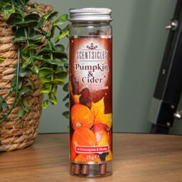 Samuel Alexander 25g Pumpkin & Cider Scented Christmas Scentsicles with 6 Hanging Hooks in Orange - thumbnail 1