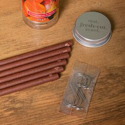 Samuel Alexander 25g Pumpkin & Cider Scented Christmas Scentsicles with 6 Hanging Hooks in Orange - thumbnail 3