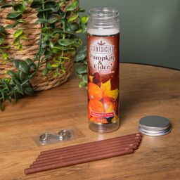 Samuel Alexander 25g Pumpkin & Cider Scented Christmas Scentsicles with 6 Hanging Hooks in Orange - thumbnail 2