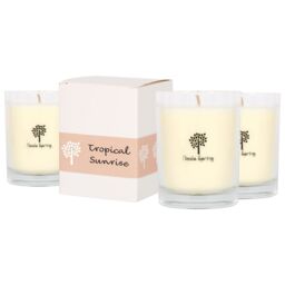 Nicola Spring 3x 160g Soy Wax Scented Candles - Tropical Sunrise Aromatherapy Jar Candle in Clear - thumbnail 1