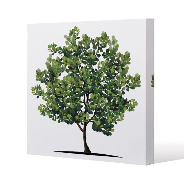 Benjamin Tate Design Tree (Canvas Print) / 127 x 127 x 4cm in Natural - Size: 127 x 127 x 4 cm - image 1