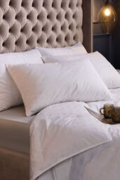 Snuggledown 1 Pack Retreat Hungarian Goose Down Soft Support Pillows in White