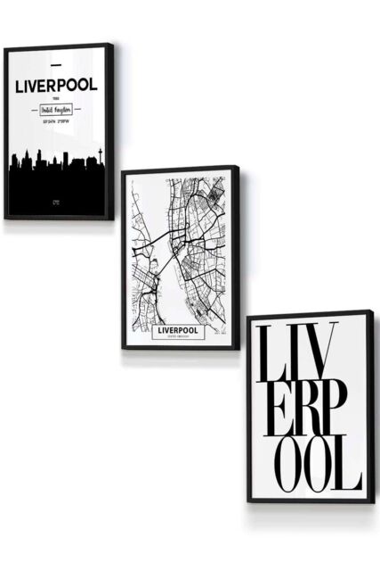 ARTZE LIVERPOOL Skyline Street Map City Prints Framed Wall Art - Small in Black - Size: W33 cm x H45 cm x D20mm - image 1