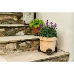 Jardinopia Daisy Plant Pot Feet - Set of 3 - L7 x W8 x H8 cm in Bronze - thumbnail 5