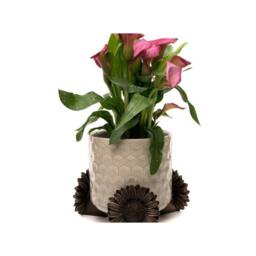 Jardinopia Daisy Plant Pot Feet - Set of 3 - L7 x W8 x H8 cm in Bronze - thumbnail 4