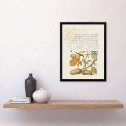 Artery8 Daffodil Flower & Oak Acorns Calligraphy Framed Wall Art Print in Beige - Size: A4 - thumbnail 4