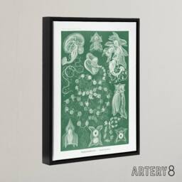 "Artery8 Siphonophorae Vintage Marine Haeckel Botanical Framed Canvas Wall Art in Green - Size: W12"" x H16""" - thumbnail 2