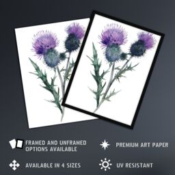 "Artery8 Two Scottish Thistle Flower Blooms Watercolour Wall Art Print in Purple - Size: W12"" x H16""" - thumbnail 2