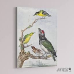 "Artery8 Four Different Birds on a Branch Schouman Canvas Wall Art Print - Size: W12"" x H16""" - thumbnail 2