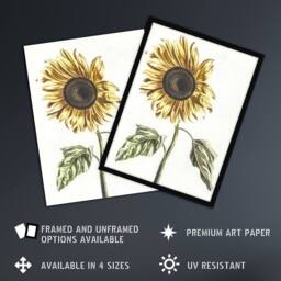 "Artery8 Sunflower Vintage Flower Painting Teyler Wall Art Poster Print in White - Size: W24"" x H32""" - thumbnail 2