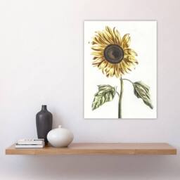 "Artery8 Sunflower Vintage Flower Painting Teyler Wall Art Poster Print in White - Size: W24"" x H32""" - thumbnail 4