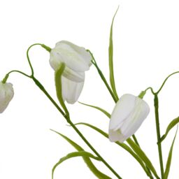 Hill Interiors The Natural Garden Collection Fritillaria Stem Artificial Flower in White - thumbnail 3