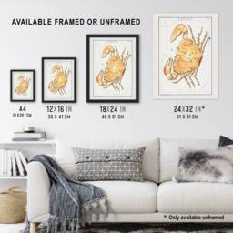 Artery8 Vintage Cancer Constellation Illustration Hall Framed Wall Art Print in White - Size: A4 - thumbnail 3