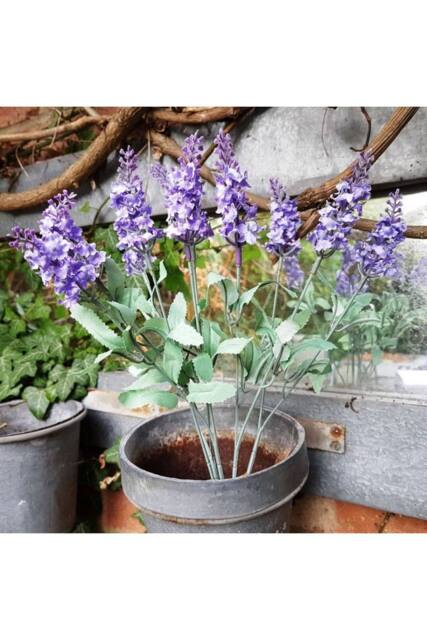KDMD Flowering Lavender Bunch Lilac 3 Pack - image 1