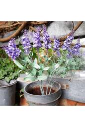 KDMD Flowering Lavender Bunch Lilac 3 Pack - thumbnail 1