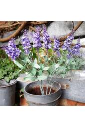 KDMD Flowering Lavender Bunch Lilac 3 Pack - thumbnail 2