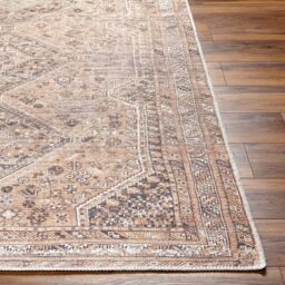Livabliss Amelie-Washable Light Brown Traditionnal Vintage Boho Living Dining Rug in Orange - Size: 160 cm x 220 cm - thumbnail 5