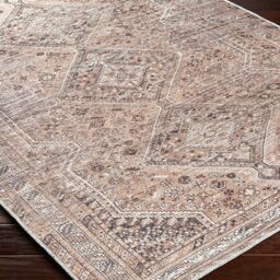 Livabliss Amelie-Washable Light Brown Traditionnal Vintage Boho Living Dining Rug in Orange - Size: 160 cm x 220 cm - thumbnail 6