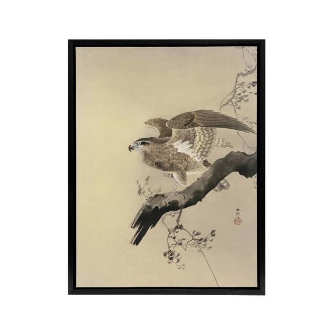 "Artery8 Hawk Bird of Prey on Tree Branch Framed Canvas Wall Art Print Koson in Beige - Size: W12"" x H16""" - image 1