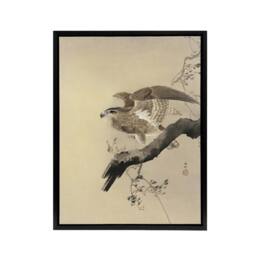 "Artery8 Hawk Bird of Prey on Tree Branch Framed Canvas Wall Art Print Koson in Beige - Size: W12"" x H16""" - thumbnail 1