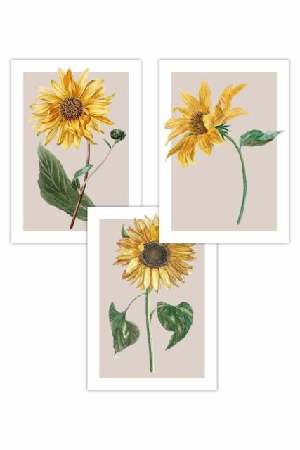 ARTZE Set of 3 Vintage Sunflowers on Beige Art Posters in Bright Yellow - Size: W50 cm x H70 cm - image 1