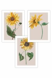 ARTZE Set of 3 Vintage Sunflowers on Beige Art Posters in Bright Yellow - Size: W50 cm x H70 cm - thumbnail 1