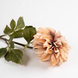 Scottish Everlastings Ltd 70cm Dusky Pink Dalia Flower Stem 3PK - thumbnail 2