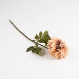 Scottish Everlastings Ltd 70cm Dusky Pink Dalia Flower Stem 3PK - thumbnail 3