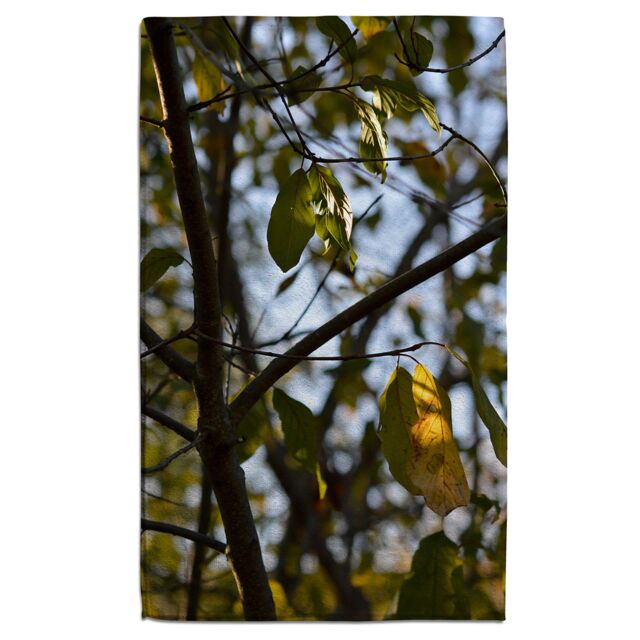 Benjamin Tate Design leaves & branches Designer Bath Towel in Green - image 1