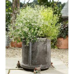 Jardinopia Robin Plant Pot Feet - Set of 3 in Brown - thumbnail 4